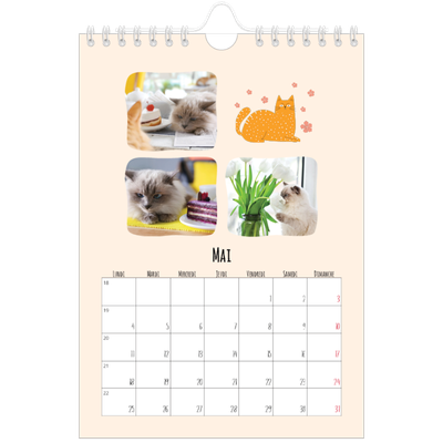 Calendrier photo A5 — Pattes de chat et gribouillis [couverture]