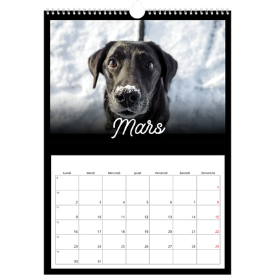 A3 Calendrier annuel — Diapositive [Mars]