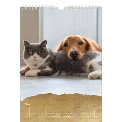 Calendrier photo A4 (20 x 30 cm) — Classic Gold [Mars]