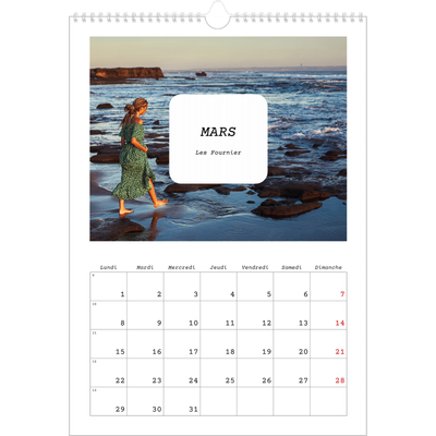 A3 Calendrier annuel — Toute l'histoire [Mars]