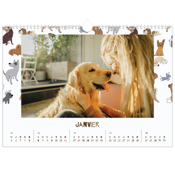 Calendrier photo A3 — Chiot joueur