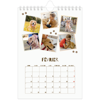 Calendrier photo A5 — Chiot joueur [Février]