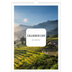 A3 Calendrier annuel — Toute l'histoire [couverture]
