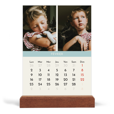 Calendrier de bureau support bois - portrait  — Chapitres pastel [Février]