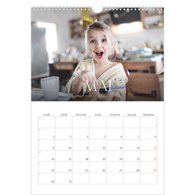 A3 Calendrier annuel — Douze jolis mois [couverture]