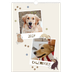 A3 Calendrier annuel — Chiot joueur [couverture]