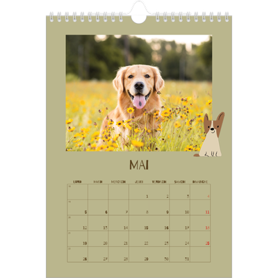 Calendrier photo A4 (20 x 30 cm) — Chiot joueur [couverture]