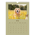 Calendrier photo A4 (20 x 30 cm) — Chiot joueur [couverture]
