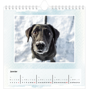 Calendrier photo carré — Effet aquarelle