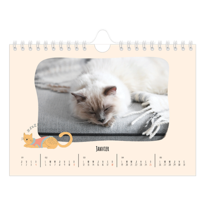 Calendrier photo A5 — Pattes de chat et gribouillis [Janvier]