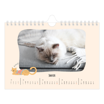 Calendrier photo A5 — Pattes de chat et gribouillis