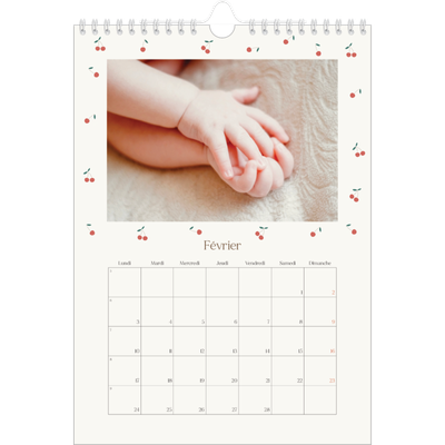 Calendrier photo A4 (20 x 30 cm) — Cerise sur le bonheur [Février]