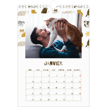 Calendrier photo A4 — Chaton joueur