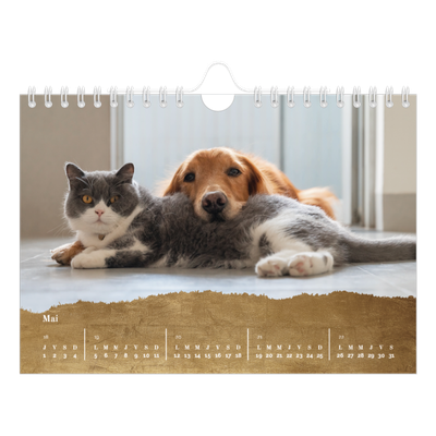 Calendrier photo A5 — Classic Gold [couverture]