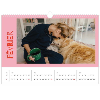 Calendrier photo A3 — Tout en couleurs [Février]