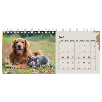 Calendrier de bureau — Classic Gold [couverture]