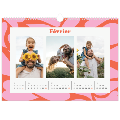 Calendrier photo A3 — Jeu de motifs [Février]