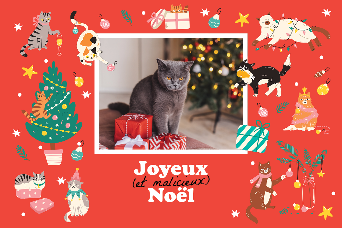 Faire-part & Cartes — Chat de Noël