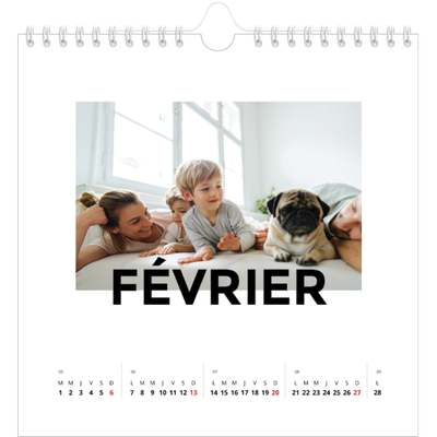 Calendriers annuels carré — Lettrage dispersé [Février]