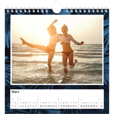 Calendriers annuels carré — Tropical [Mars]