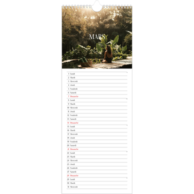 Calendrier mural long  — Évasion sans fin [Mars]