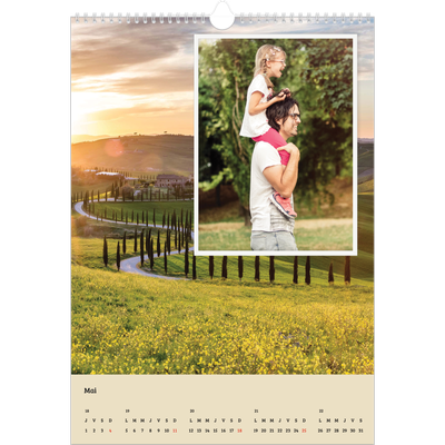 A3 Calendrier annuel — Saison en immersion [couverture]