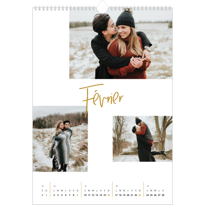 A3 Calendrier annuel — Calligraphie dorée [Février]