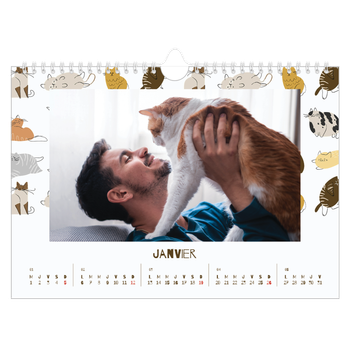 Calendrier photo A4 — Chaton joueur