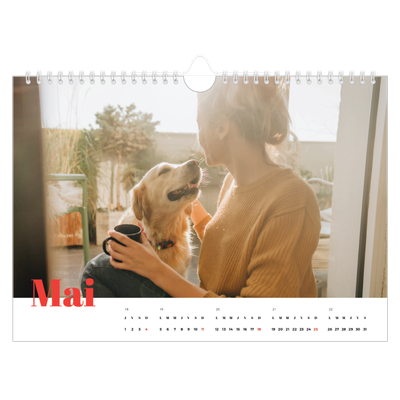 Calendrier photo A4 — Une année audacieuse [couverture]