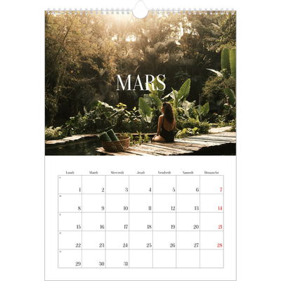 A3 Calendrier annuel — Évasion sans fin [Mars]