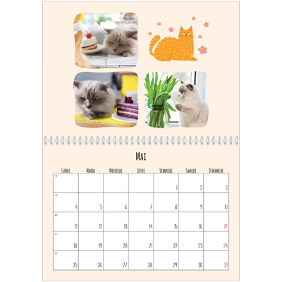 Calendrier photo A4 double (30 x 40 cm) — Pattes de chat et gribouillis [couverture]