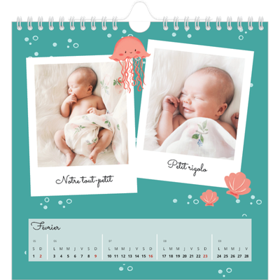 Calendriers annuels carré — Mes petits animaux [Février]