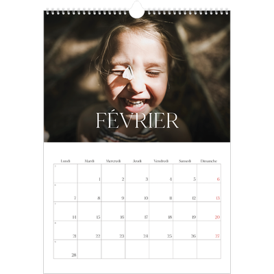 A3 Calendrier annuel — Douze jolis mois [Février]