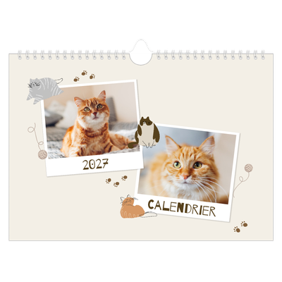 Calendrier photo A4 — Chaton joueur [couverture]