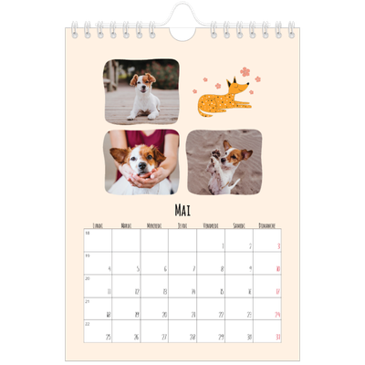 Calendrier photo A5 — Pattes de chien et gribouillis [couverture]