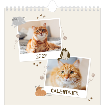 Calendriers annuels carré — Chaton joueur [couverture]