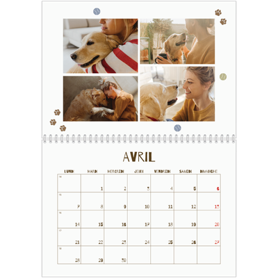 Calendrier photo A4 double (30 x 40 cm) — Chiot joueur [Avril]