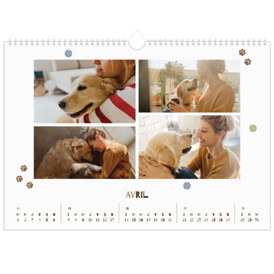 Calendrier photo A3 — Chiot joueur [Avril]