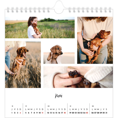 Calendriers annuels carré — Arrangements photo [couverture]