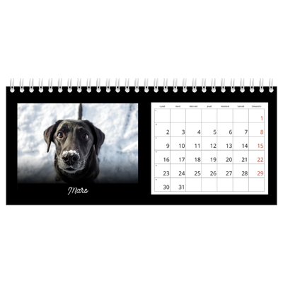 Calendrier de bureau — Diapositive [Mars]