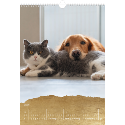 A3 Calendrier annuel — Classic Gold [Mars]