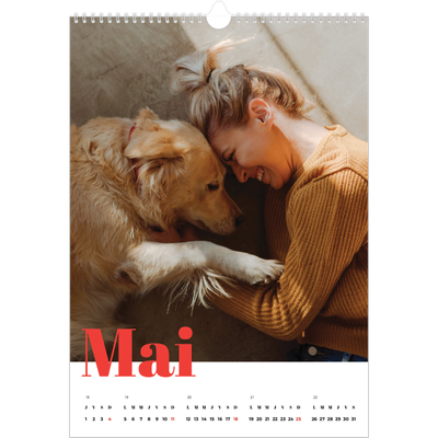 A3 Calendrier annuel — Une année audacieuse [couverture]