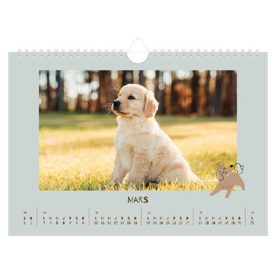 Calendrier photo A4 — Chiot joueur [Mars]