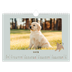 Calendrier photo A4 — Chiot joueur [Mars]