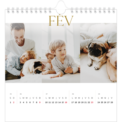 Calendriers annuels carré — Large texte Doré [Février]