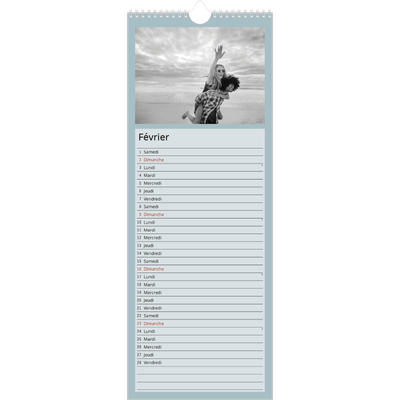 Calendrier mural long  — Pastels [Février]
