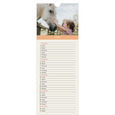 Calendrier mural long  — Chapitres pastel [Mars]