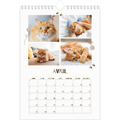 Calendrier photo A4 (20 x 30 cm) — Chaton joueur [Avril]