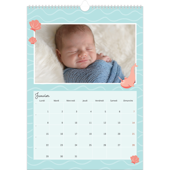 Calendrier photo A3 — Mes petits animaux