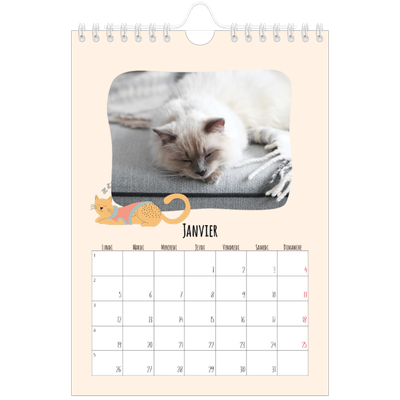 Calendrier photo A5 — Pattes de chat et gribouillis [Janvier]